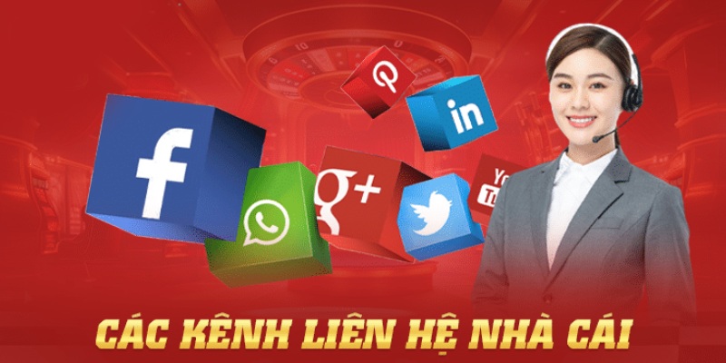 Liên hệ qua các kênh mạng xã hội Zalo hoặc Facebook